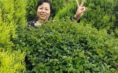 女生迈开腿打扑克又疼又痒